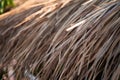 Thatch roof background, hay or dry grass background. A thatched roof, hay or dry grass background. Grass hay, roof texture. Dry Royalty Free Stock Photo