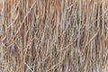 Thatch roof background, hay or dry grass background Royalty Free Stock Photo