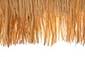 Thatch roof Royalty Free Stock Photo