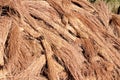 Thatch roof grass Royalty Free Stock Photo