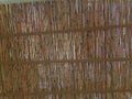 Thatch of Succah