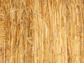 Thatch wall Royalty Free Stock Photo