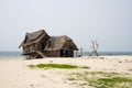 Thatched beach hut