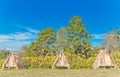 Thatched bungalows Royalty Free Stock Photo