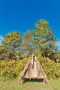 Thatched bungalows Royalty Free Stock Photo