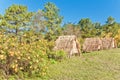 Thatched bungalows Royalty Free Stock Photo