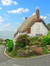 Thatched cottage in cadgwith, historic fishing village, south en Royalty Free Stock Photo