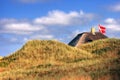 Thatched cottage in denmark Royalty Free Stock Photo