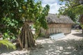 Thatched Cottage in Mangrove Forest Royalty Free Stock Photo