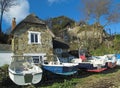 Thatched cottage by the sea