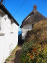 Thatched Cottages in Cadgwith in Cornwall in Great Britain Royalty Free Stock Photo