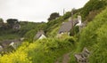 Thatched cottages at Cadgwith Cove, Cornwall, England Royalty Free Stock Photo