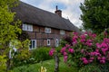 Thatched cottages in a hampshire village in the UK.