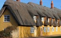 Thatched cottages in a village.