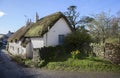 Thatched Devonshire cottage, England