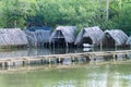 Thatched docks for fishing boats at Rio Miel river mouth near Baracoa, Cu Royalty Free Stock Photo