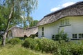 Thatched house in summer