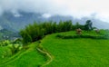 Thatched hut