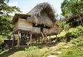 Thatched hut - Native indian home at the Embera Indian village Royalty Free Stock Photo