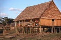 Thatched hut on Peruvian Amazon Royalty Free Stock Photo