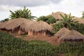 Thatched huts