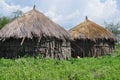 Thatched mud hut homes and stick in green African grassland, Tanzania, Africa Royalty Free Stock Photo