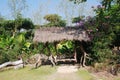 Thatched pavilion in garden