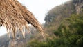 Thatched roof close up nature background