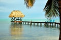 Caribbean Palapa Dock and Hammocks Royalty Free Stock Photo