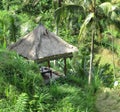 Thatched Roof Gazebo