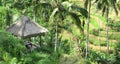 Thatched Roof Gazebo