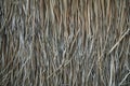 A thatched roof, hay or dry grass background. Grass hay, roof texture. Dry straw, roof background texture. Abstract background by Royalty Free Stock Photo
