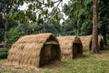 Thatched roof house Royalty Free Stock Photo
