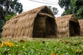 Thatched roof house Royalty Free Stock Photo