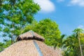 Thatched roof house and a green garden with blue sky in countryside. Royalty Free Stock Photo