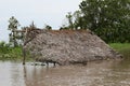 Thatched Roof House