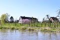 Thatched-roof house