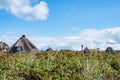 Thatched-roof houses hidden in beach grass covered dunes at coast of the island of Sylt, Germany with red and white lighthouse