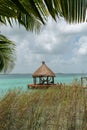 A thatched roof hut on a pier sticks out in the blue water of the Bacalar lagoon. It is framed by water grasses and palm leaves