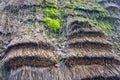 Thatched roof of an old rural house closeup shot. Background for natural ecological housing. Natural materials in construction Royalty Free Stock Photo