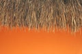 Thatched roof and orange wall