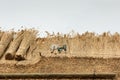 Thatched Roof with Straw and tools