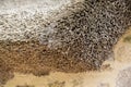 Thatched roof texture. Closeup of straws