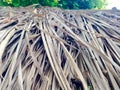 Thatched roof Royalty Free Stock Photo