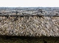 Thatched Roofs in England, State of Devon, Crediton