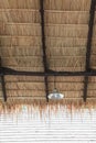 Thatched roofs Royalty Free Stock Photo