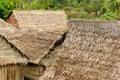 Thatched roofs of traditional houses in Amazonas Royalty Free Stock Photo