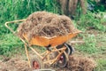 Thatched vintage color. asia rural countryside farmer