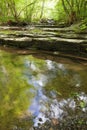 Thatcher Park Trail Royalty Free Stock Photo