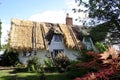 Thatching Royalty Free Stock Photo